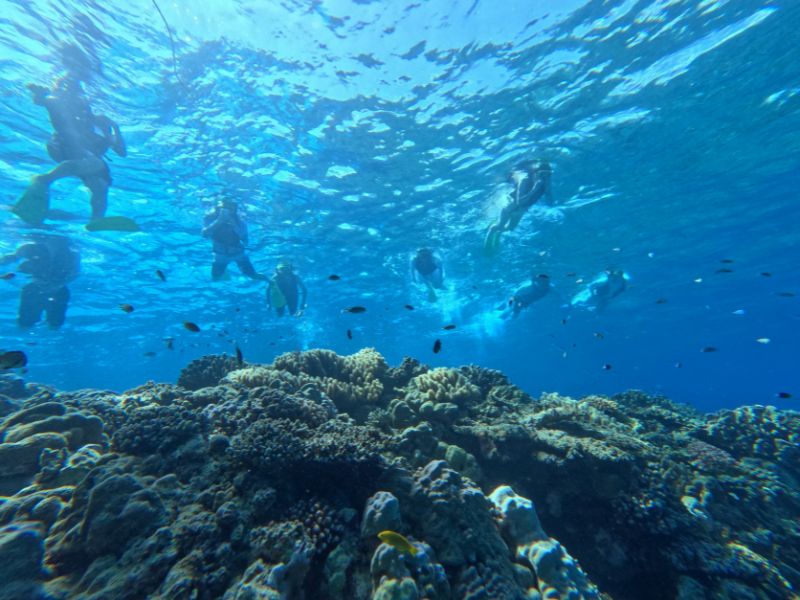 わくわくボートシュノーケリング＋日帰り海水浴｜沖縄水納島オーシャン